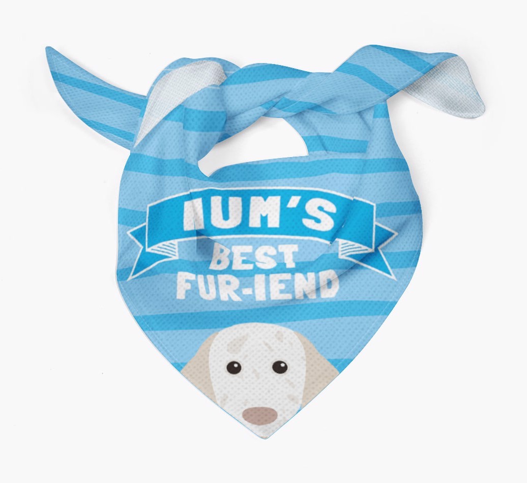 'Mum's Best Fur-iend' - Personalised {breedFullName} Bandana