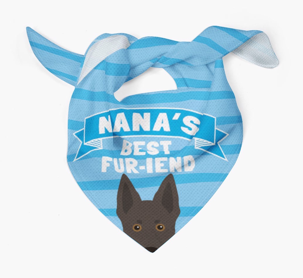 'Nana's Best Fur-iend' - Personalised {breedFullName} Bandana