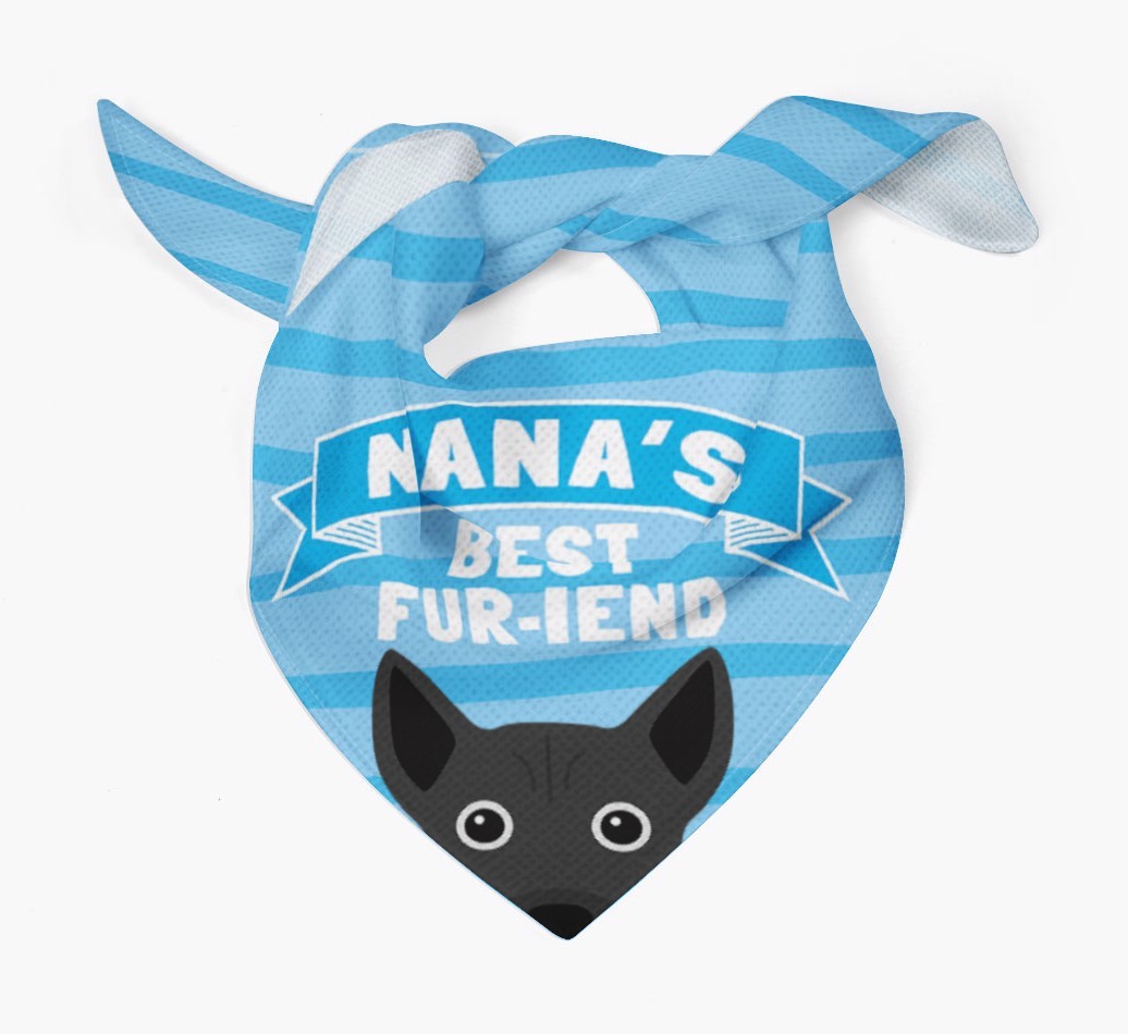 'Nana's Best Fur-iend' - Personalised {breedFullName} Bandana