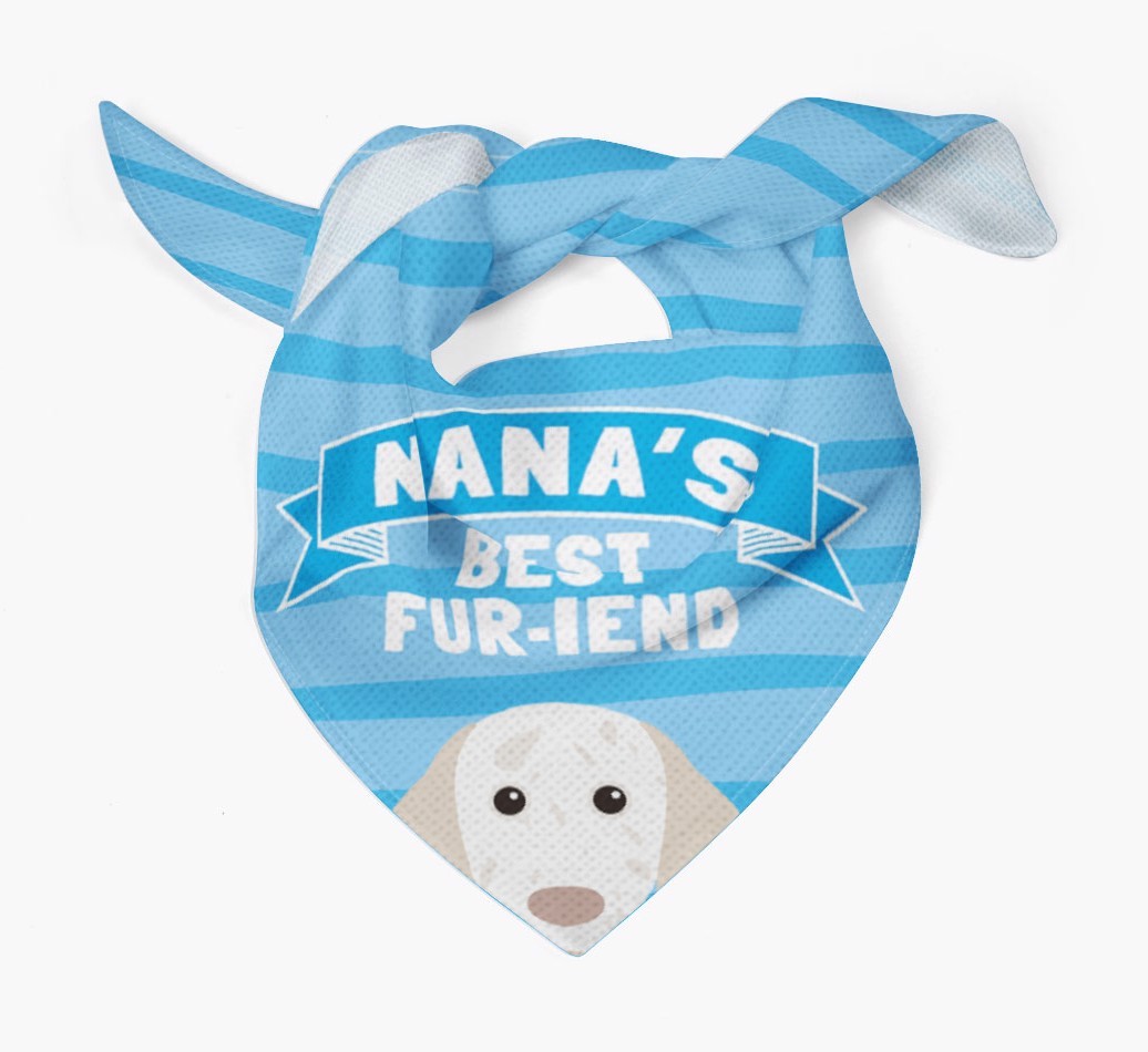 'Nana's Best Fur-iend' - Personalised {breedFullName} Bandana