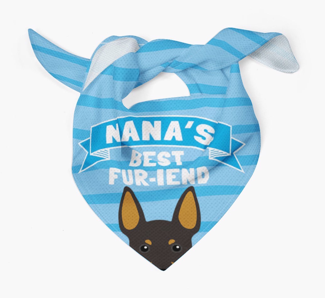 'Nana's Best Fur-iend' - Personalised {breedFullName} Bandana
