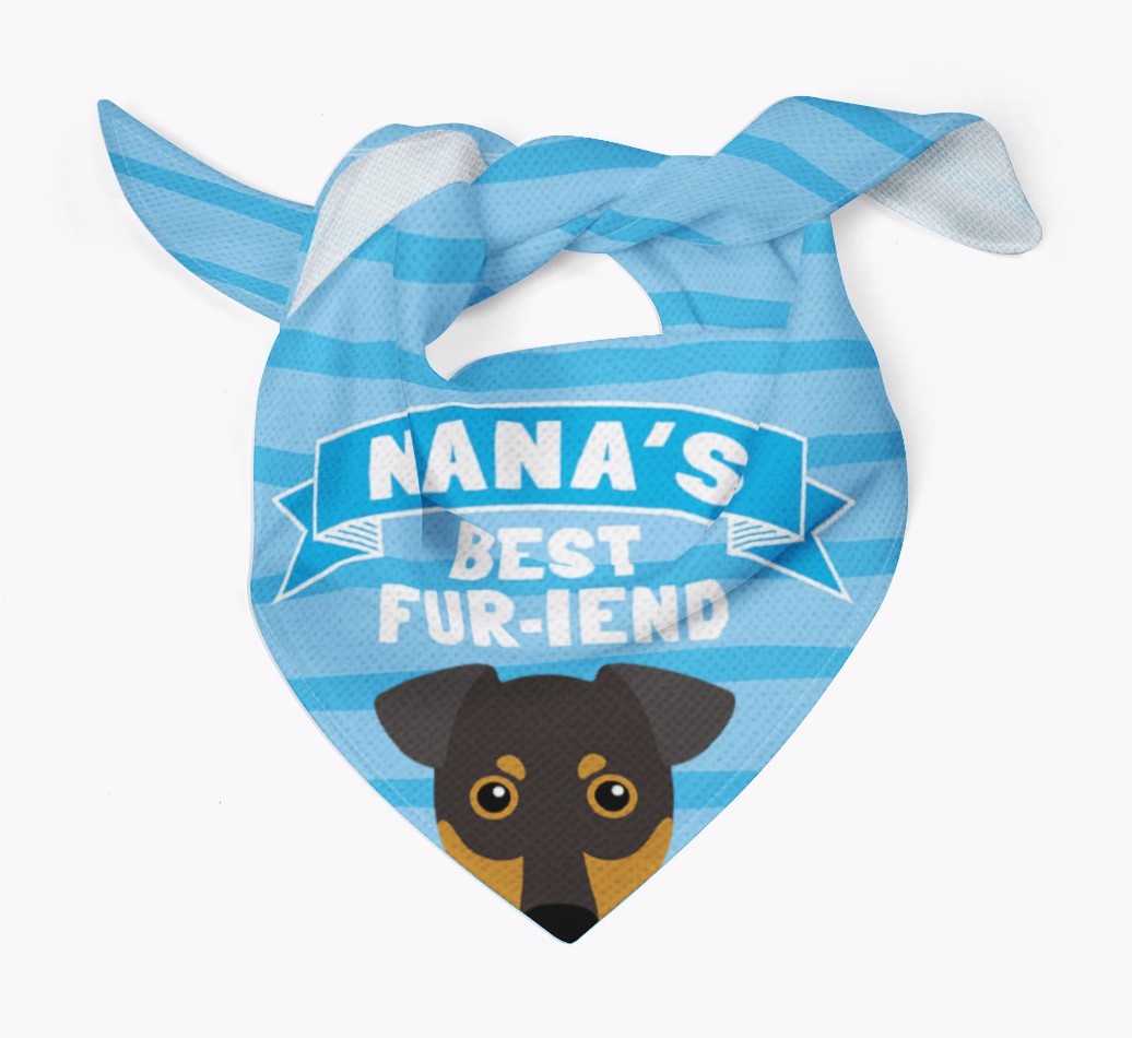 'Nana's Best Fur-iend' - Personalised {breedFullName} Bandana
