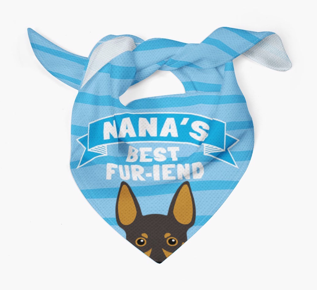 'Nana's Best Fur-iend' - Personalised {breedFullName} Bandana