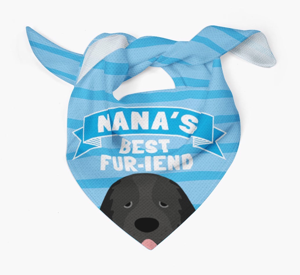 'Nana's Best Fur-iend' - Personalised {breedFullName} Bandana