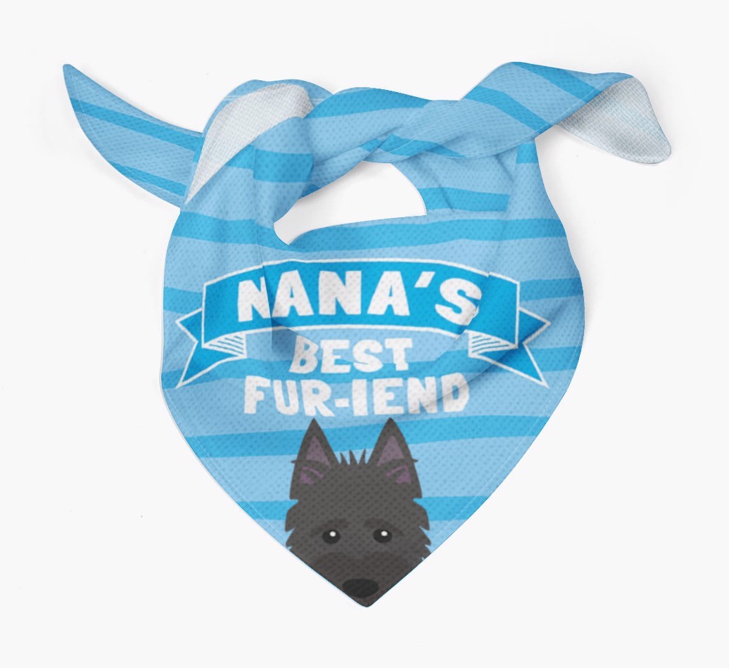 'Nana's Best Fur-iend' - Personalised {breedFullName} Bandana