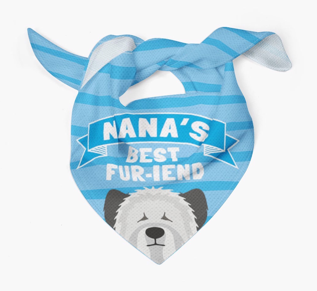 'Nana's Best Fur-iend' - Personalised {breedFullName} Bandana