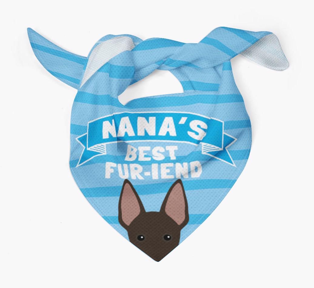 'Nana's Best Fur-iend' - Personalized {breedFullName} Bandana