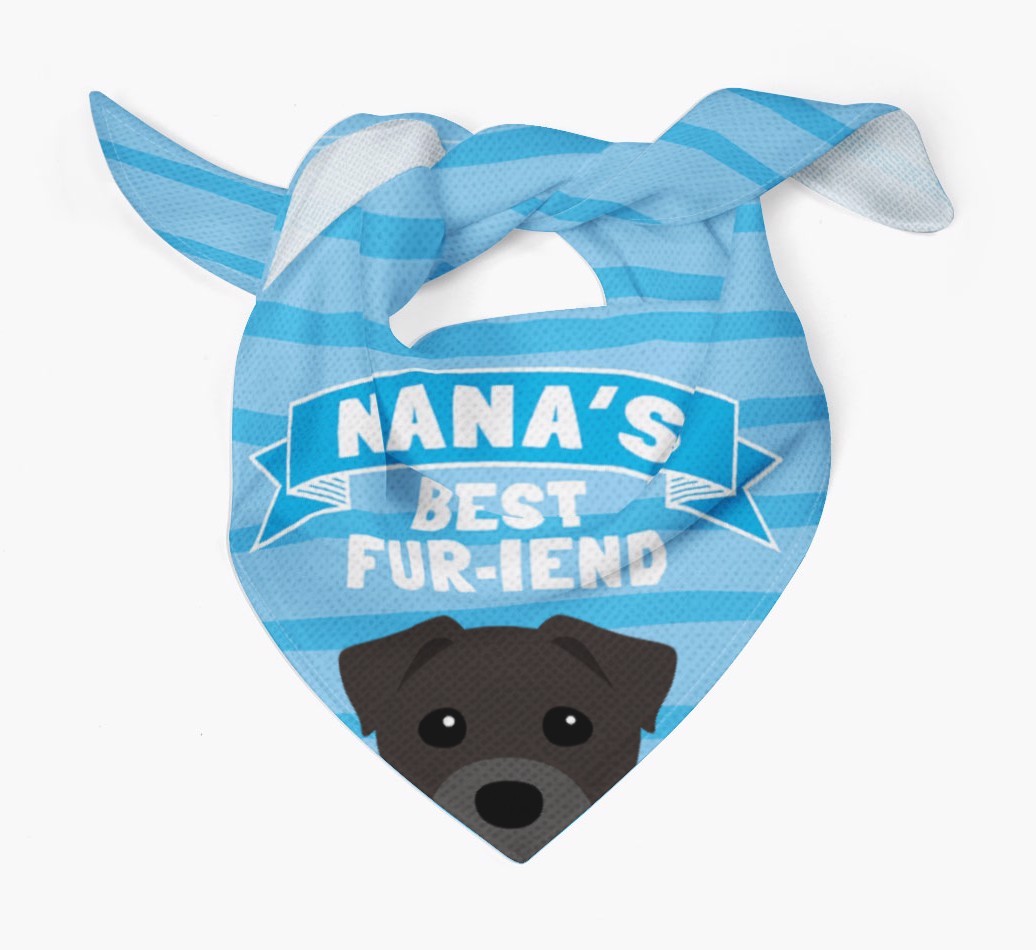 'Nana's Best Fur-iend' - Personalized {breedFullName} Bandana