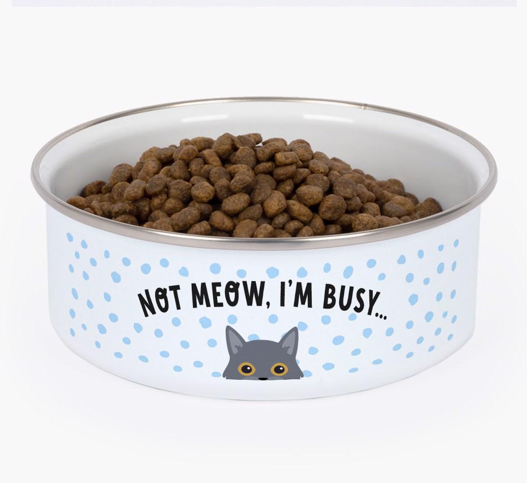 Not Meow, I'm Busy: Personalized {breedFullName} Enamel Cat Bowl