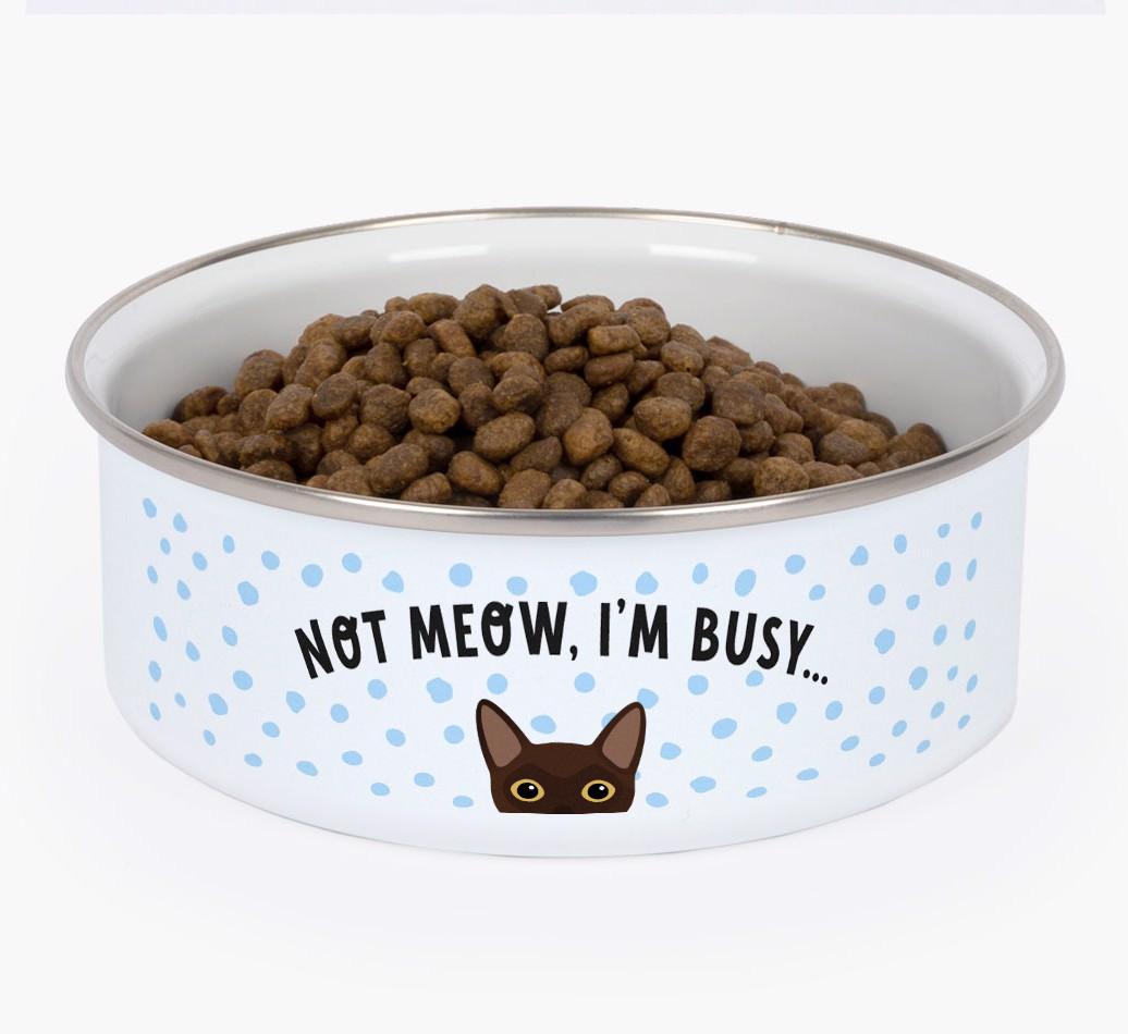 Not Meow, I'm Busy: Personalized {breedFullName} Enamel Cat Bowl