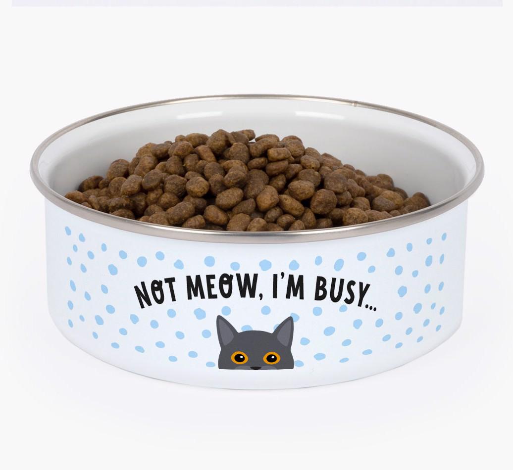 Not Meow, I'm Busy: Personalized {breedFullName} Enamel Cat Bowl