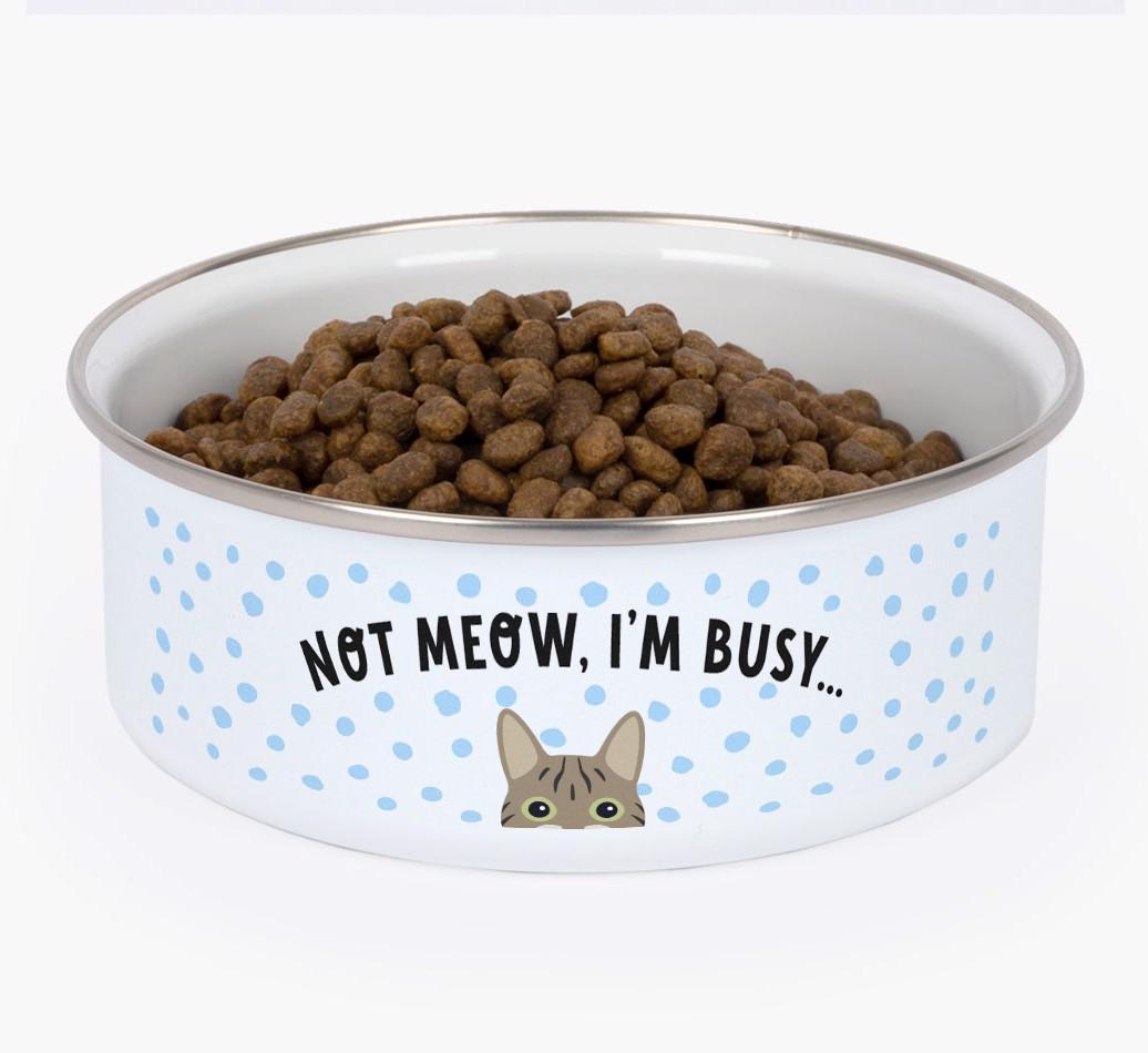 Not Meow, I'm Busy: Personalized {breedFullName} Enamel Cat Bowl