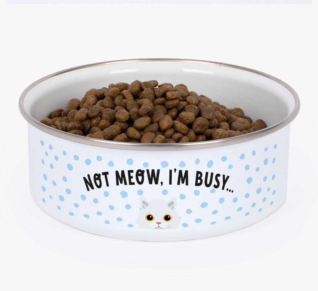 Not Meow, I'm Busy: Personalized {breedFullName} Enamel Cat Bowl