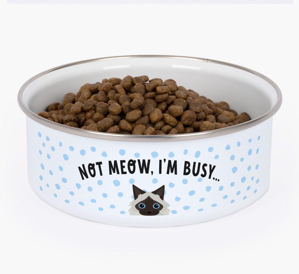 Not Meow, I'm Busy: Personalized {breedFullName} Enamel Cat Bowl