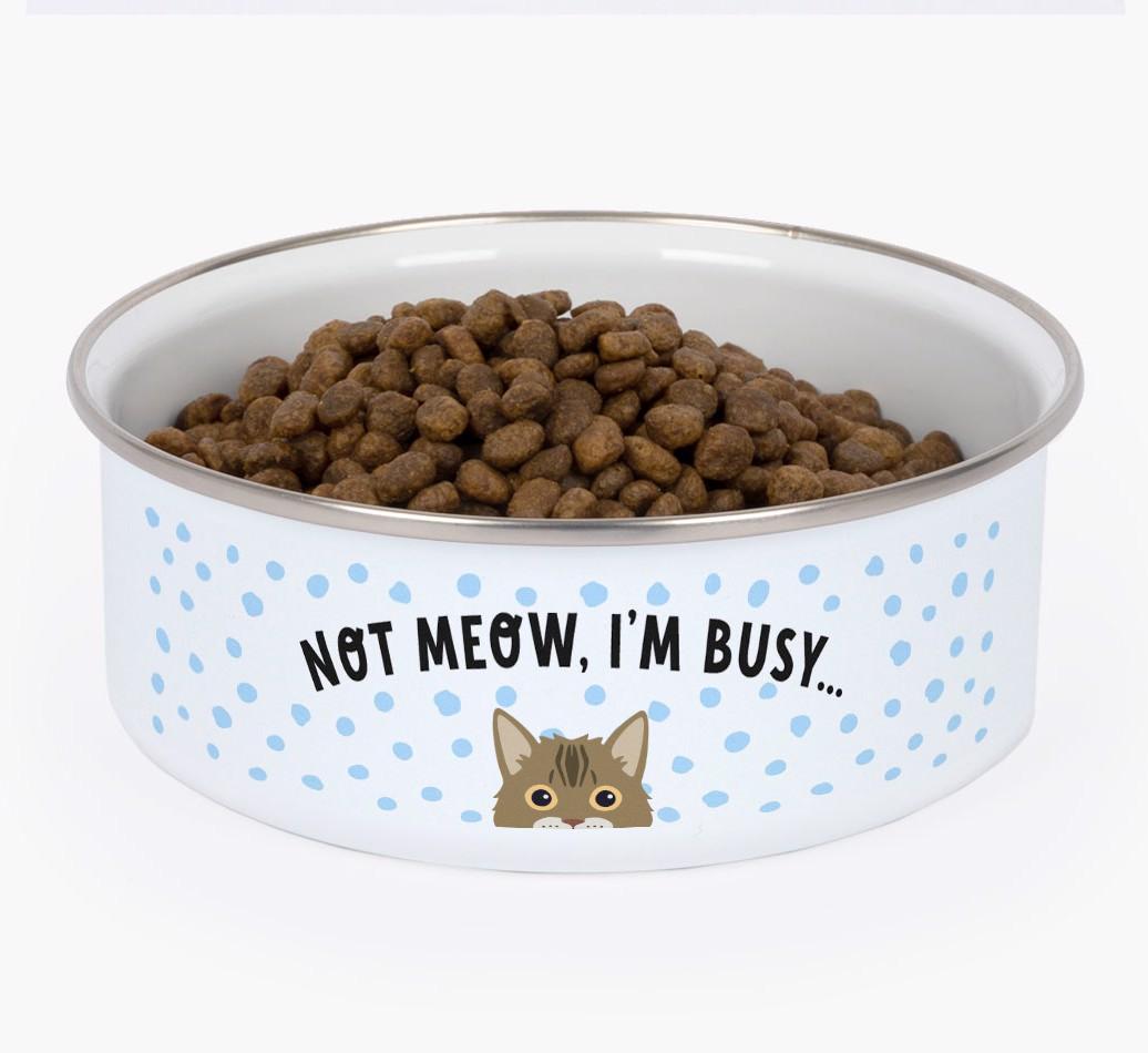 Not Meow, I'm Busy: Personalized {breedFullName} Enamel Cat Bowl