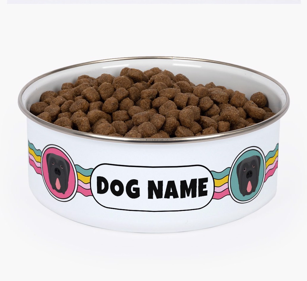 Rainbow Waves: Personalised {breedFullName} Enamel Dog Bowl