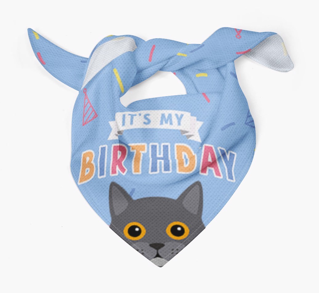 It's My Birthday: Personalised {breedCommonName} Bandana