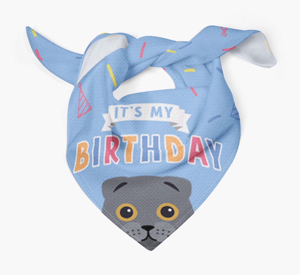 It's My Birthday: Personalised {breedCommonName} Bandana