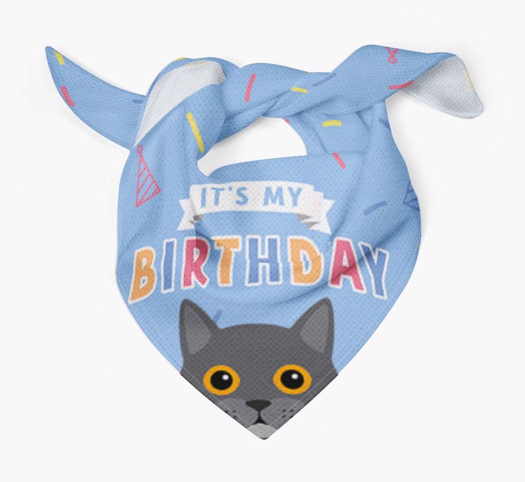 It's My Birthday: Personalized {breedCommonName} Bandana