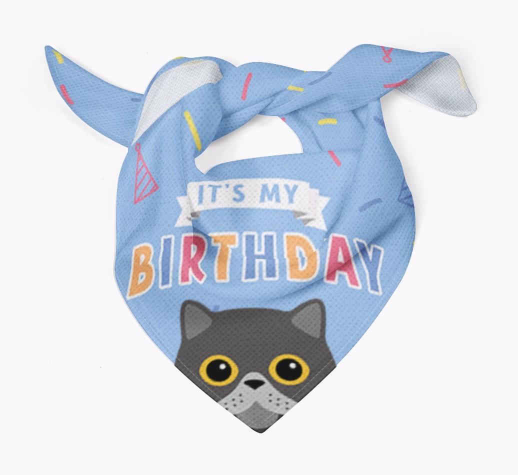 It's My Birthday: Personalized {breedCommonName} Bandana