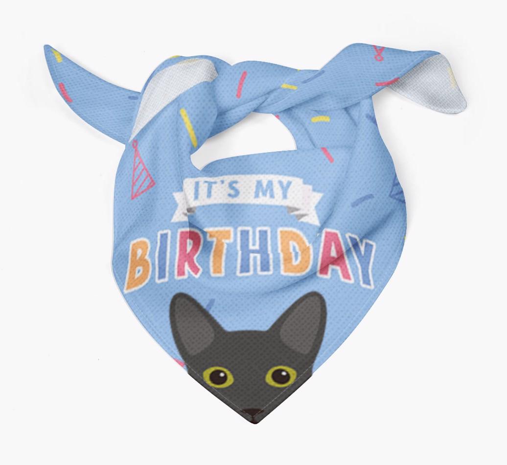 It's My Birthday: Personalized {breedCommonName} Bandana