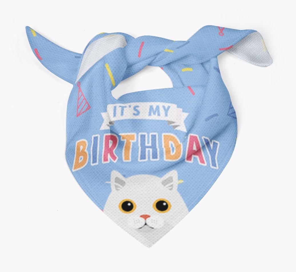 It's My Birthday: Personalized {breedCommonName} Bandana