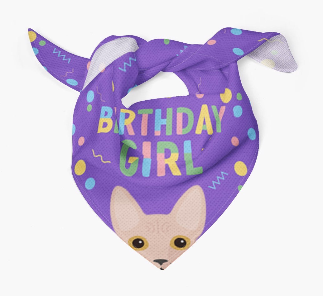 Birthday Girl: Personalised {breedCommonName} Bandana