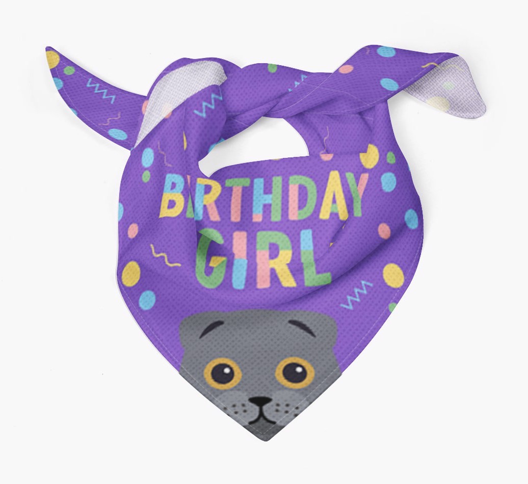 Birthday Girl: Personalised {breedCommonName} Bandana