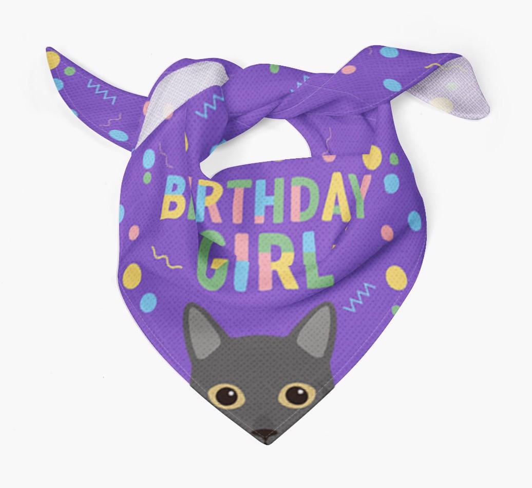 Birthday Girl: Personalized {breedCommonName} Bandana