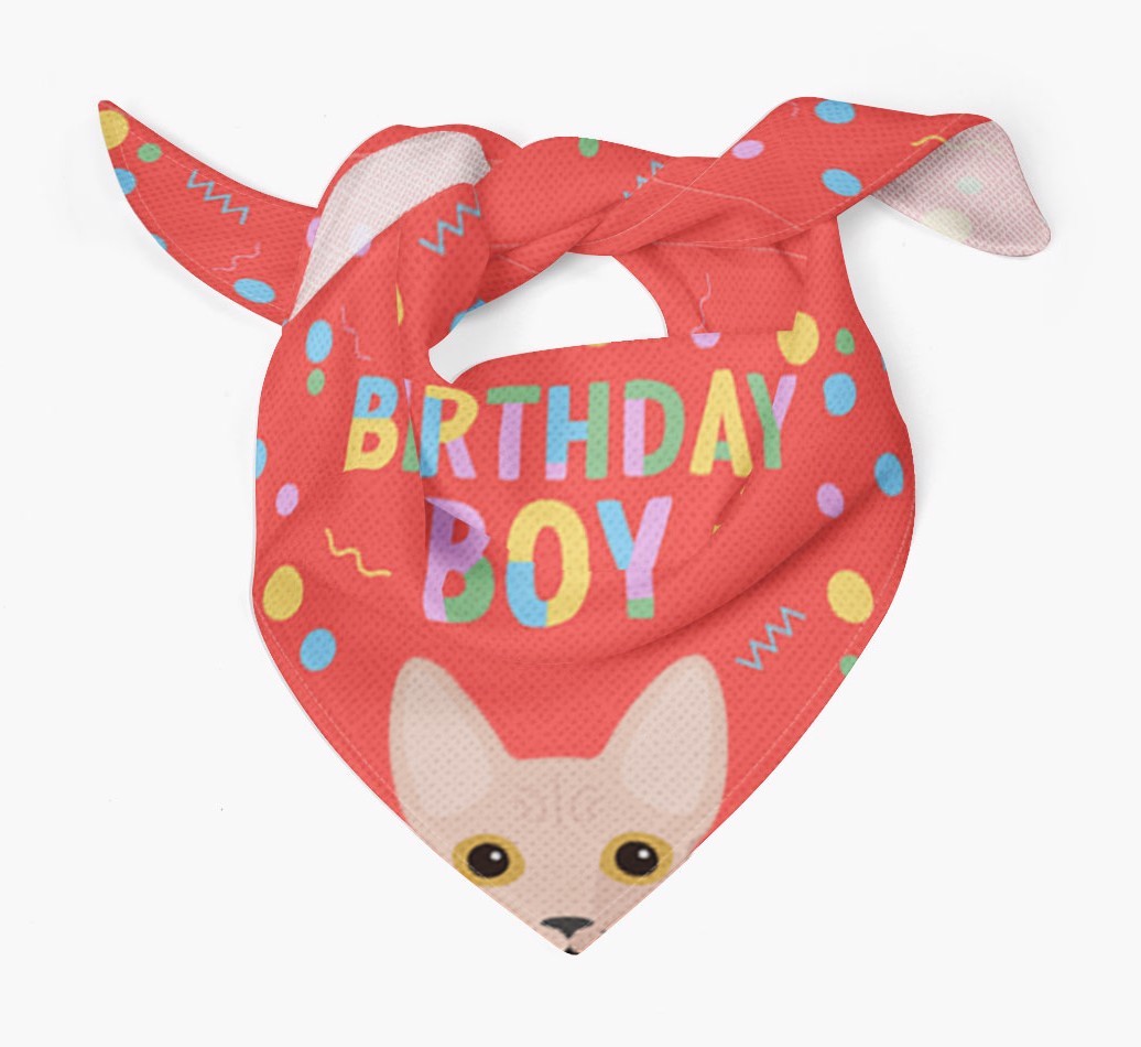 Birthday Boy: Personalised {breedCommonName} Bandana