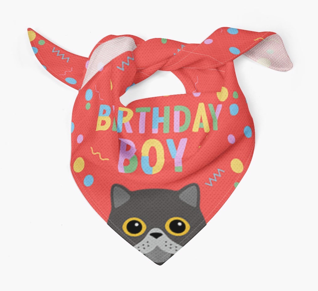 Birthday Boy: Personalised {breedCommonName} Bandana