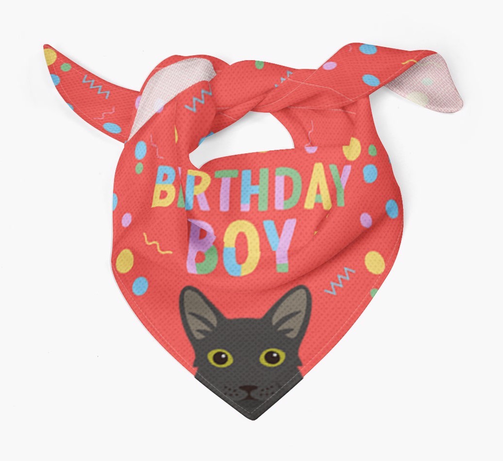 Birthday Boy: Personalised {breedCommonName} Bandana