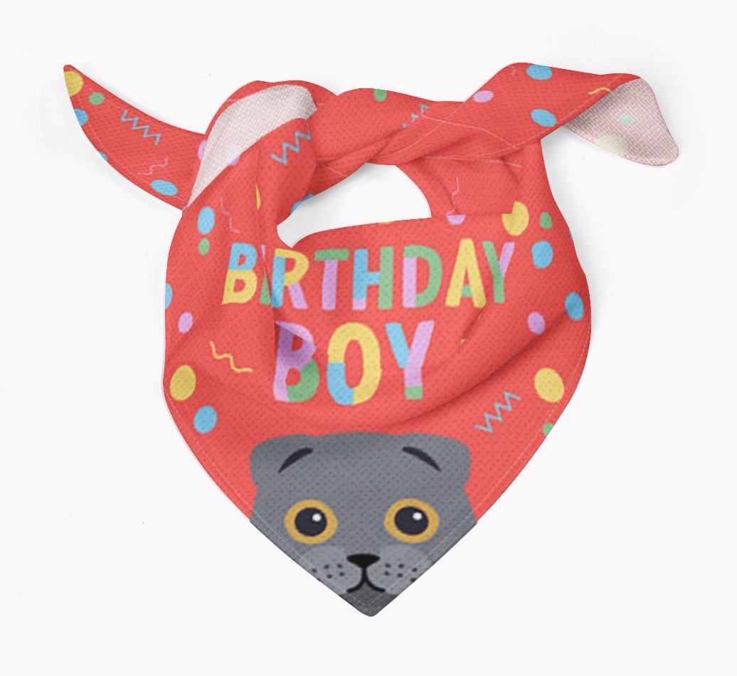 Birthday Boy: Personalised {breedCommonName} Bandana