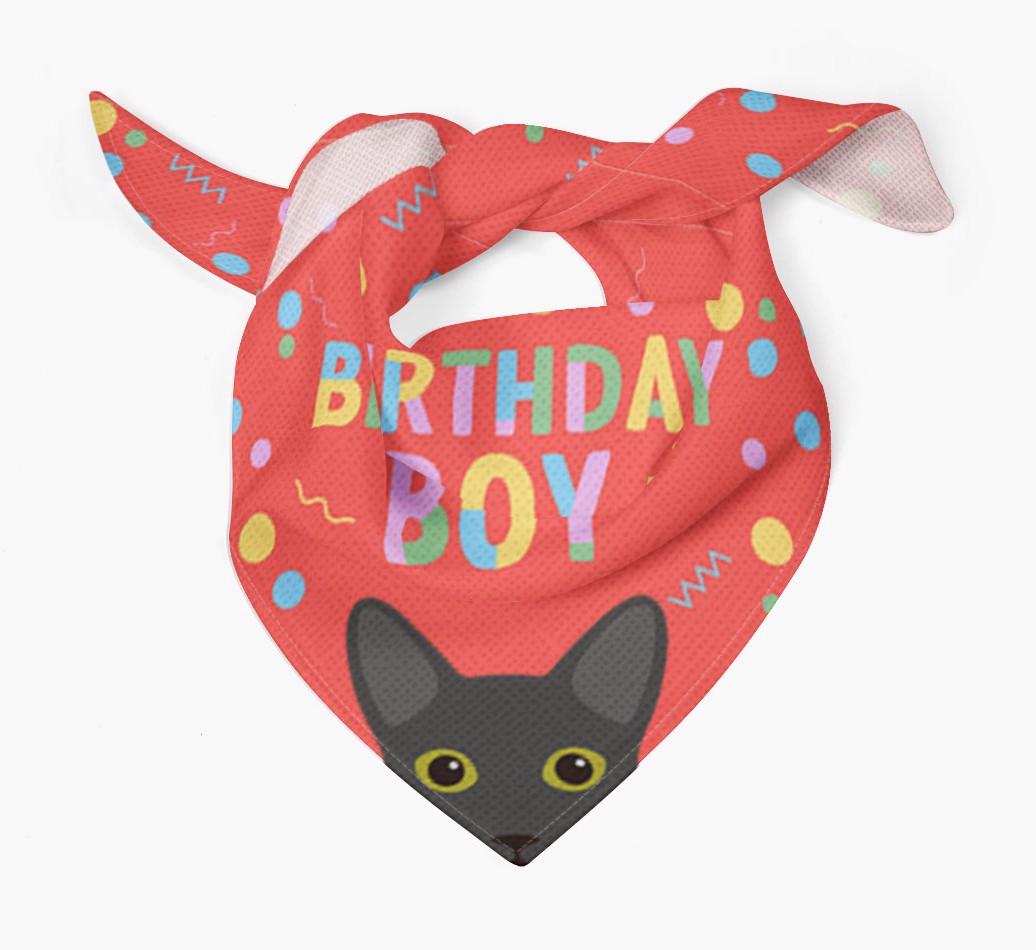 Birthday Boy: Personalized {breedCommonName} Bandana