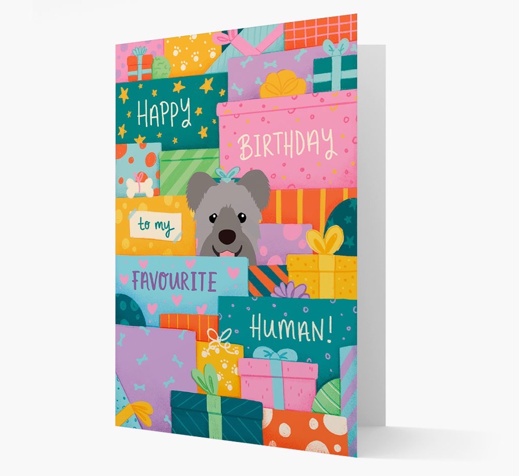 Happy Birthday To My Favourite Human: Personalised {breedFullName} Card