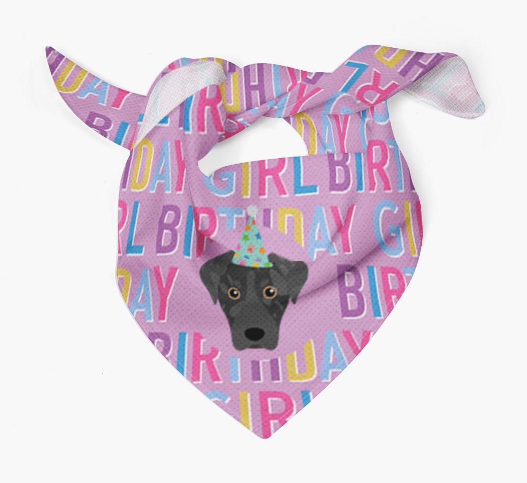 Birthday Girl: Personalized {breedFullName} Bandana
