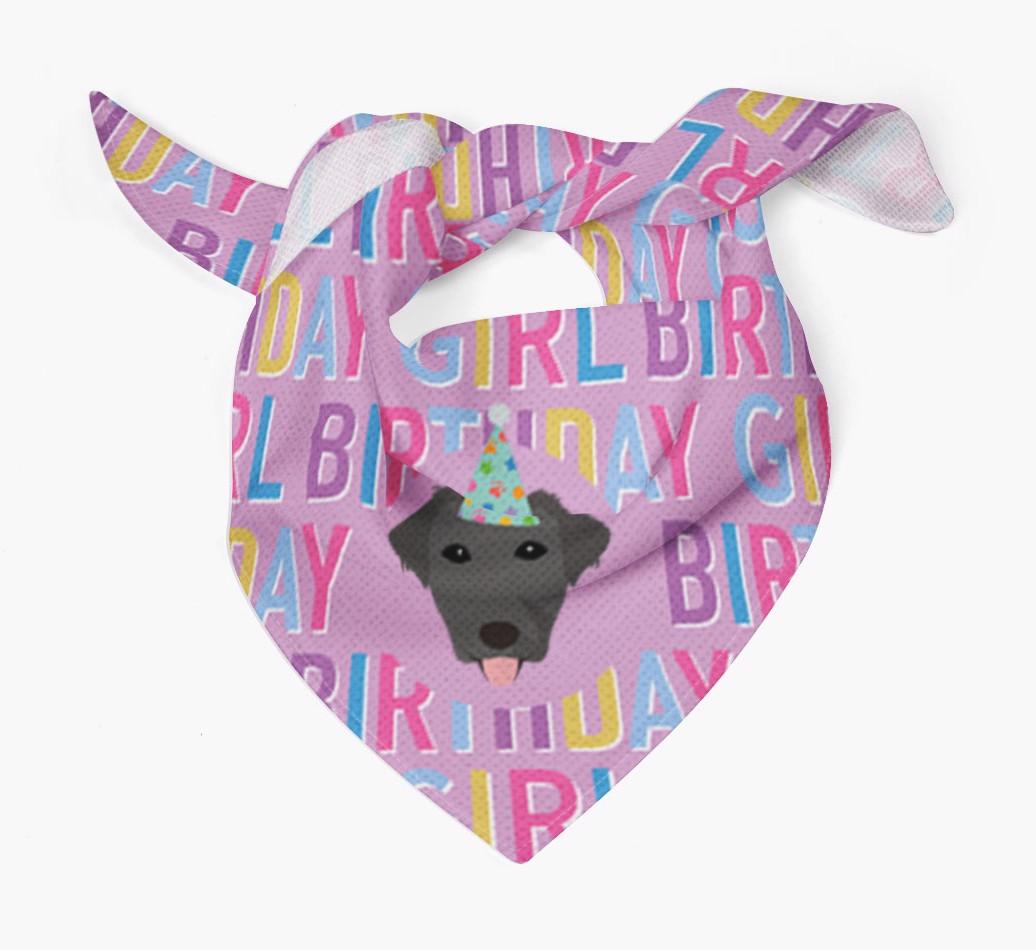 Birthday Girl: Personalized {breedFullName} Bandana