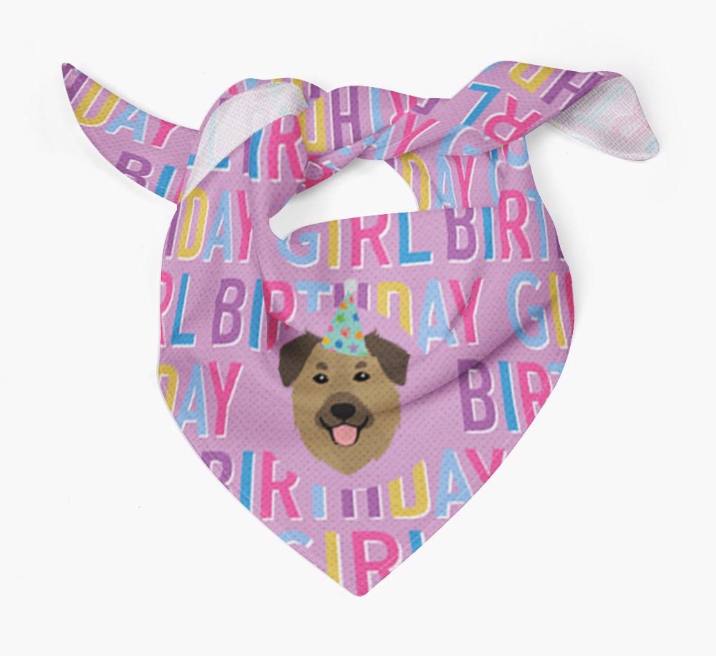 Birthday Girl: Personalized {breedFullName} Bandana
