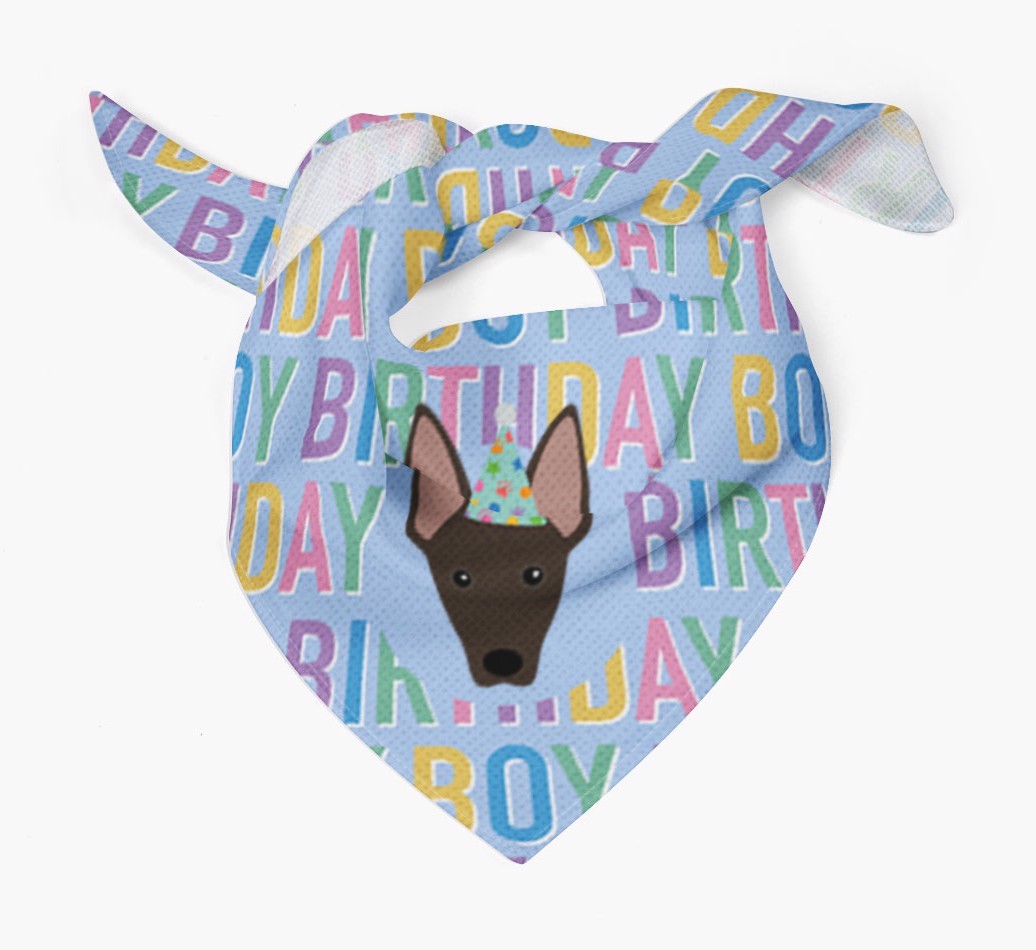 Birthday Boy: Personalised {breedFullName} Bandana