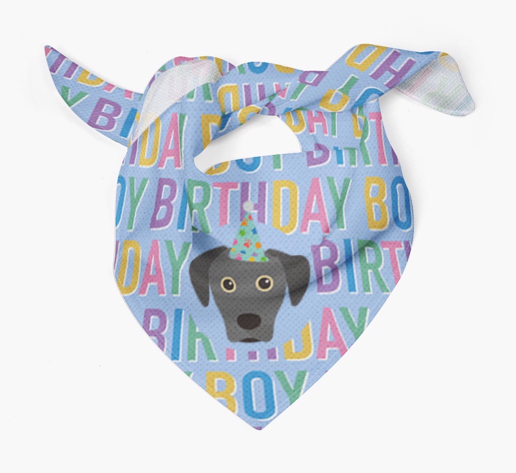 Birthday Boy: Personalised {breedFullName} Bandana