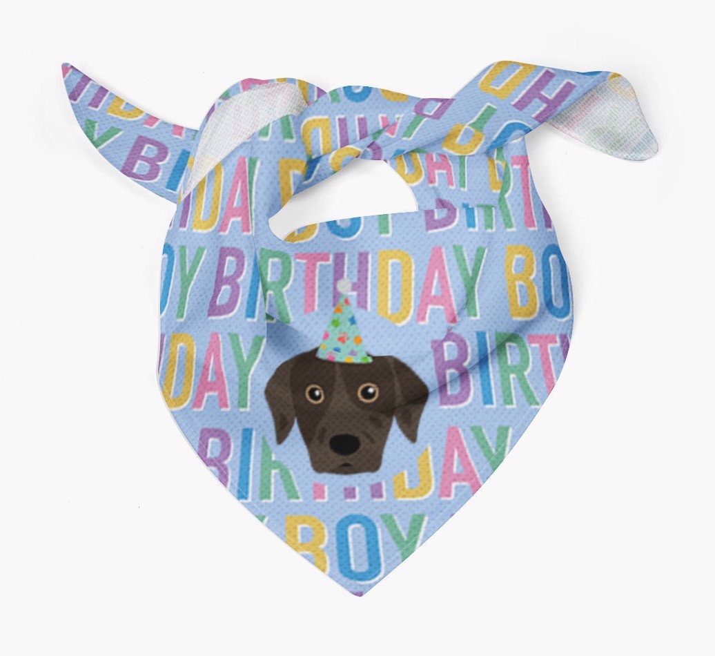 Birthday Boy: Personalised {breedFullName} Bandana