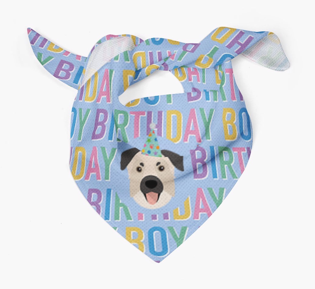 Birthday Boy: Personalised {breedFullName} Bandana