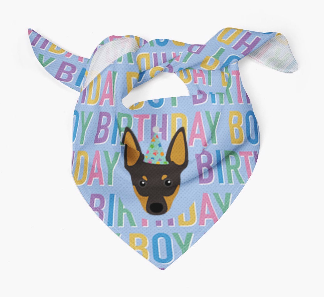 Birthday Boy: Personalised {breedFullName} Bandana