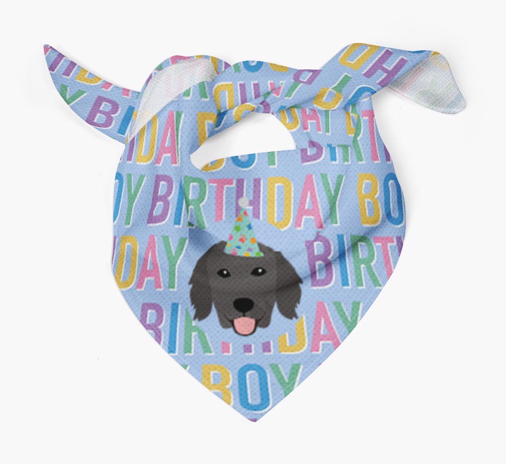 Birthday Boy: Personalised {breedFullName} Bandana