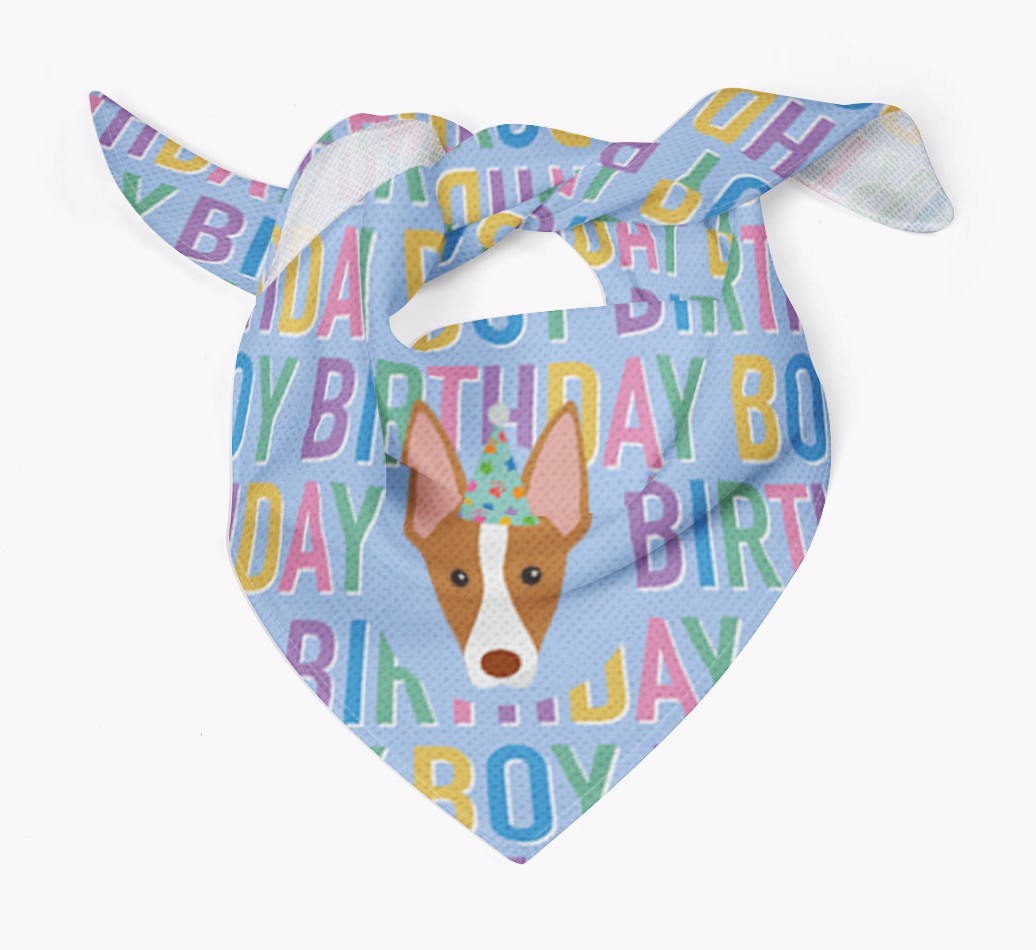Birthday Boy: Personalised {breedFullName} Bandana
