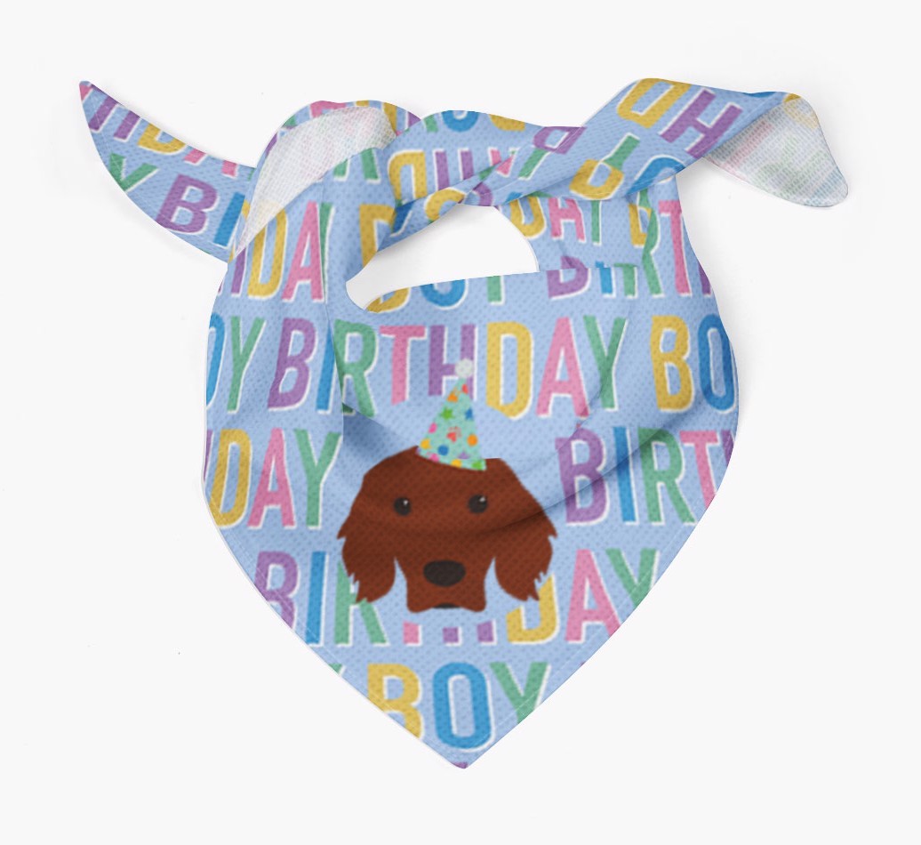 Birthday Boy: Personalised {breedFullName} Bandana