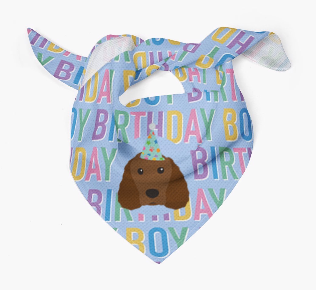 Birthday Boy: Personalised {breedFullName} Bandana