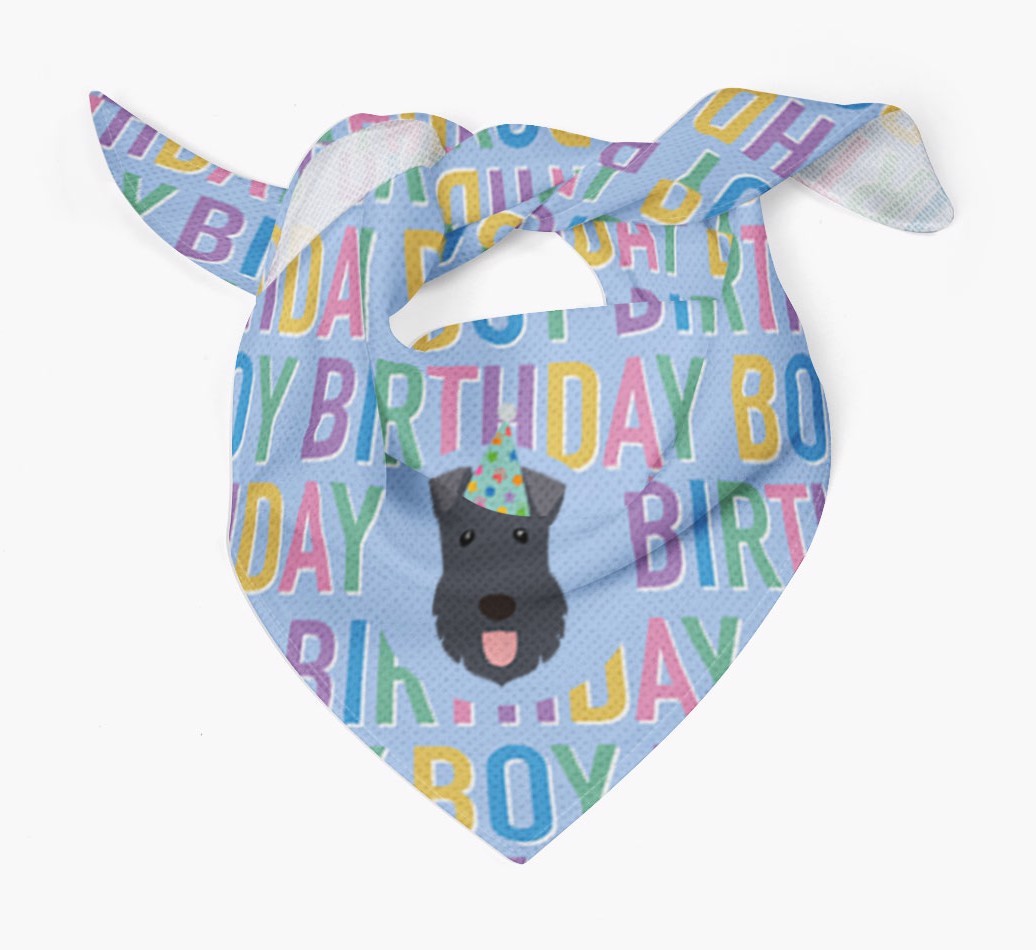 Birthday Boy: Personalised {breedFullName} Bandana