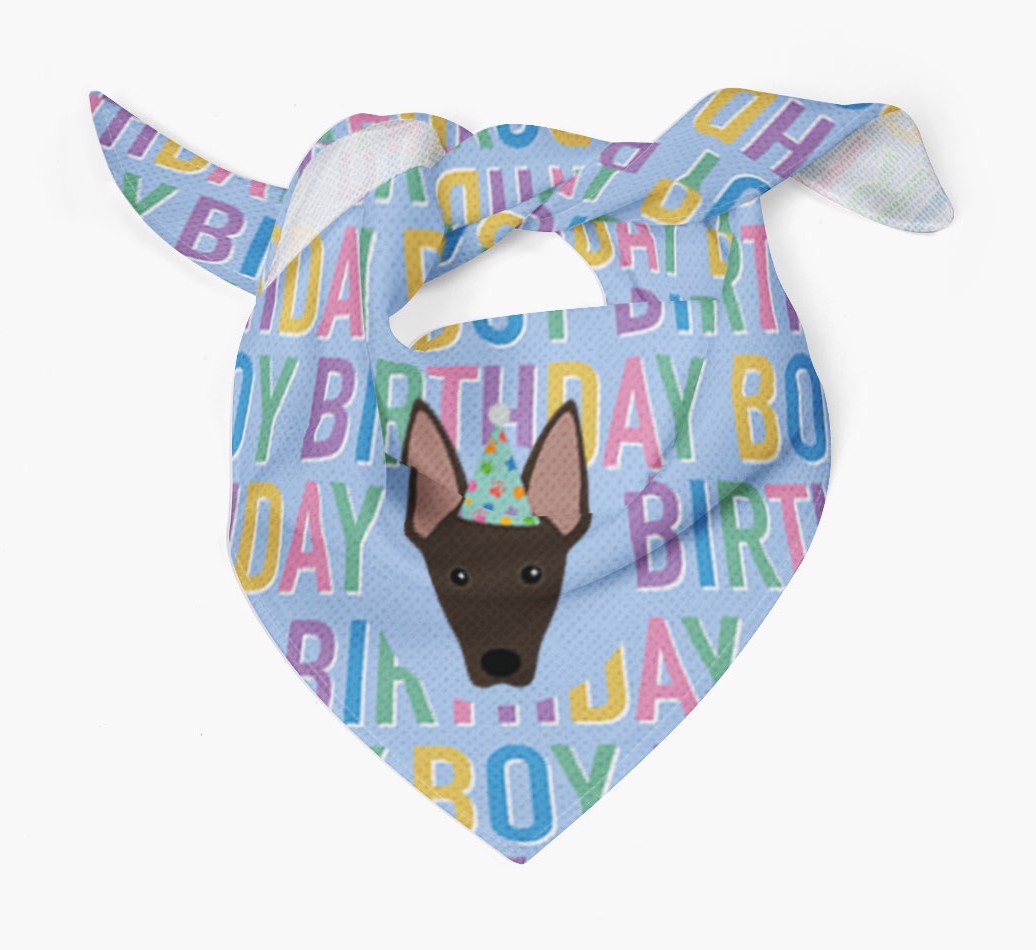 Birthday Boy: Personalised {breedFullName} Bandana