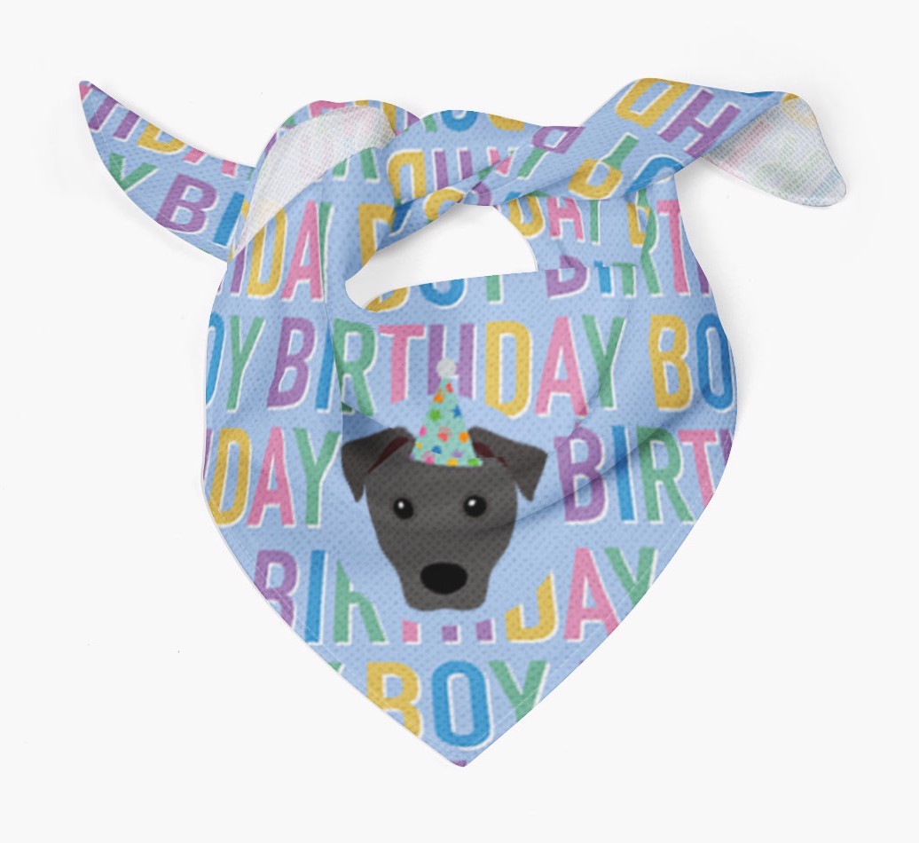 Birthday Boy: Personalised {breedFullName} Bandana